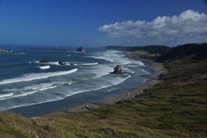 the coastline looking north